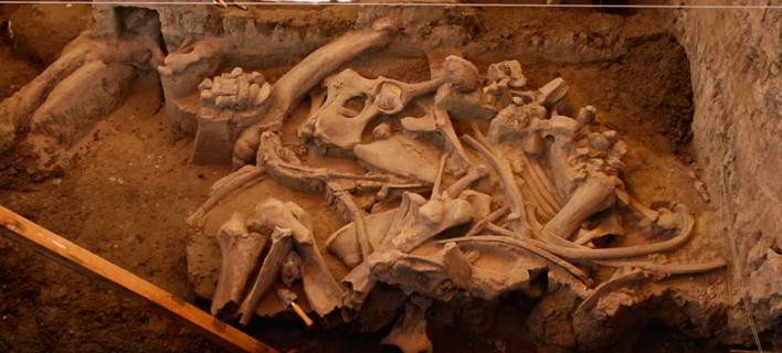 Νέα στοιχεία για τη ζωή του αρχαίου ανθρώπου από μαμούθ που έζησε πριν 14000 χρόνια (εικόνες, βίντεο)